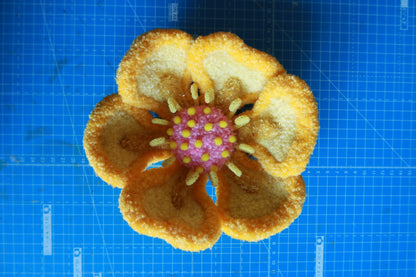 Small Flower Sculpture