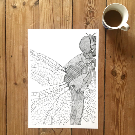 Bug No. 1 (-80%)
